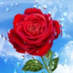 flowers and rain drops android application logo